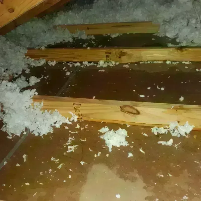 Attic Water Damage in Toccoa, GA