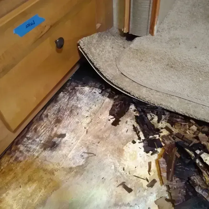 Best Wood Floor Water Damage Service in Toccoa, GA